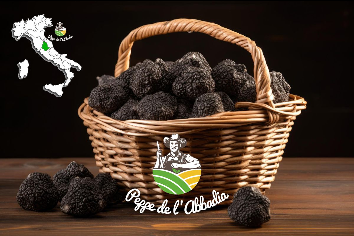 Preview image published by peppedelabbadia.it